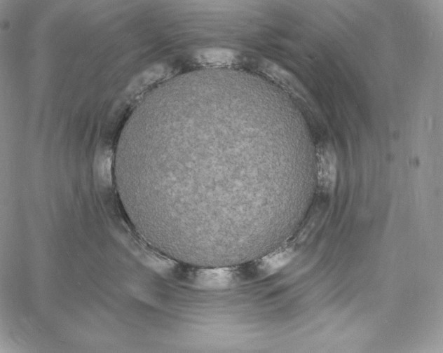 X0000060790717200511241845