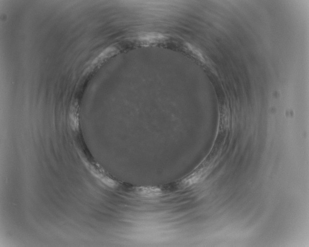 X0000060790719200511241845