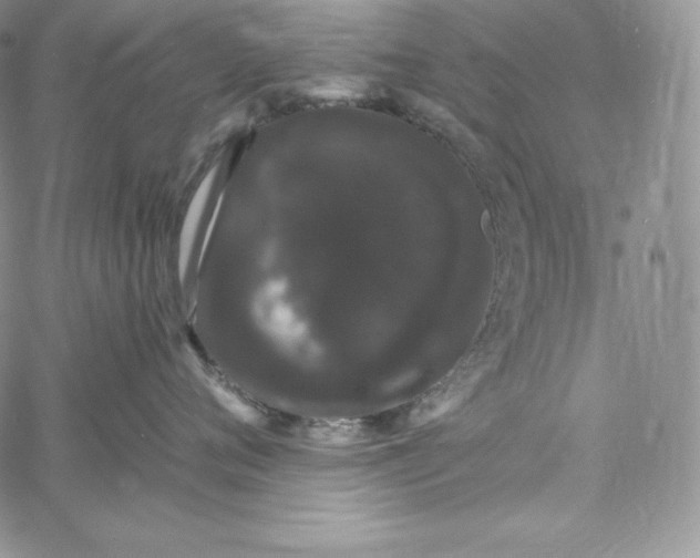 X0000060790720200511241845