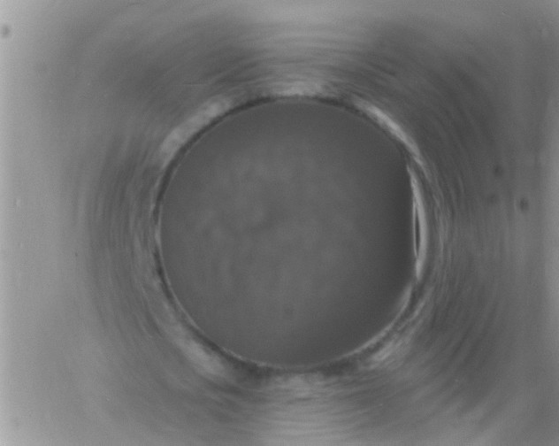 X0000060790721200511241844