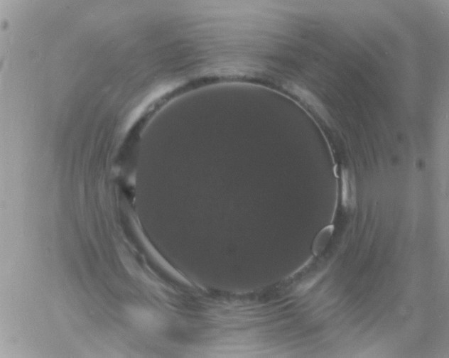 X0000060790723200511241844