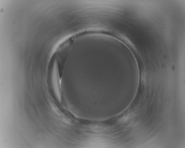 X0000060790724200511241844