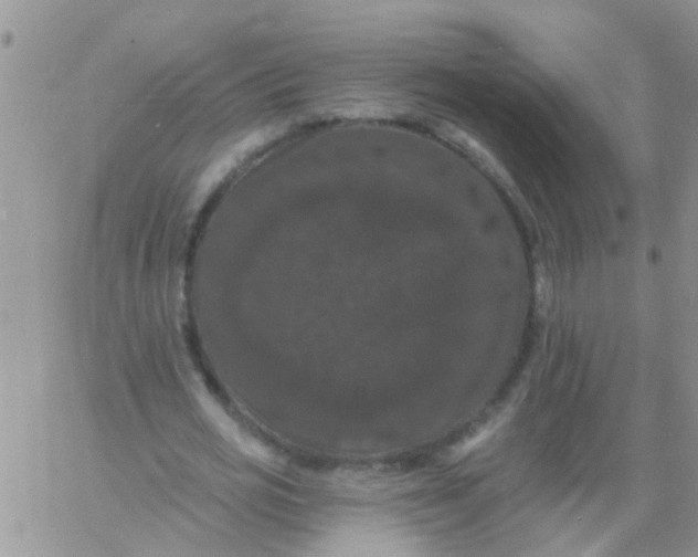 X0000060790725200511241844