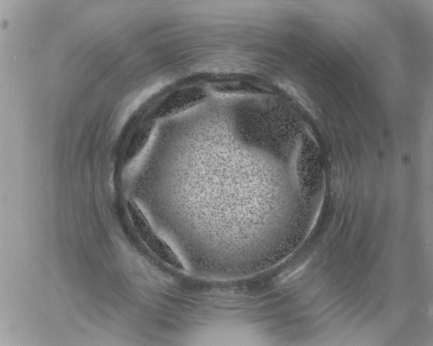 X0000060790727200511241844