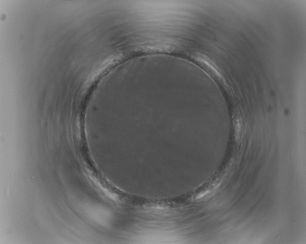 X0000060790729200511241844