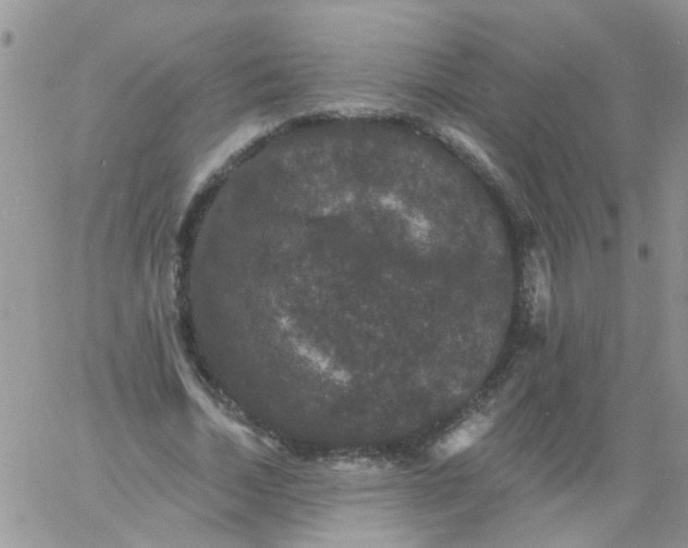 X0000060790730200511241844