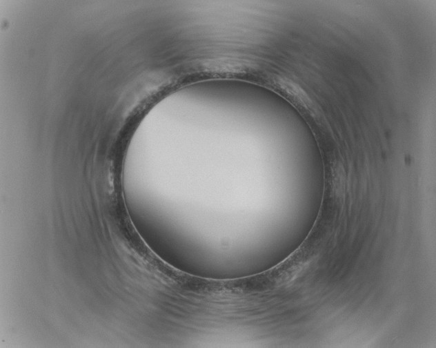 X0000060790731200511241844