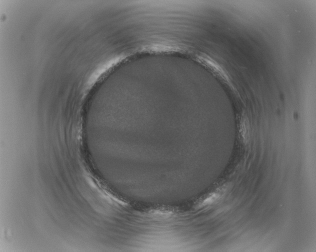 X0000060790732200511241844