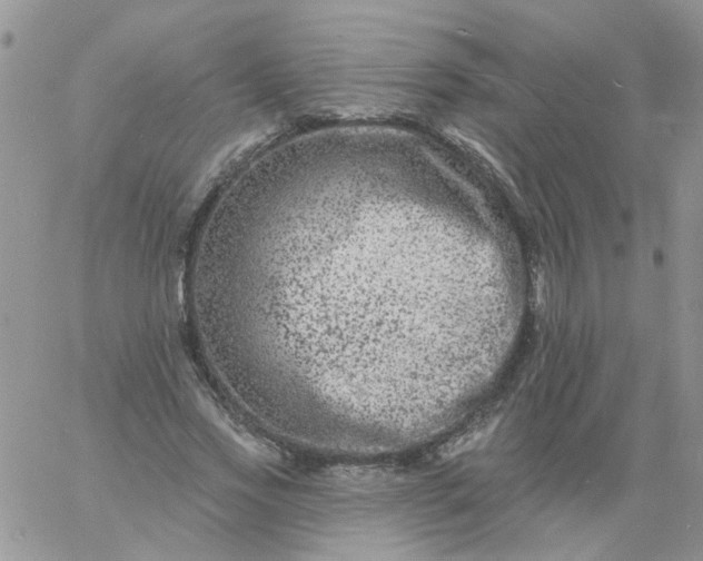 X0000060790733200511241844