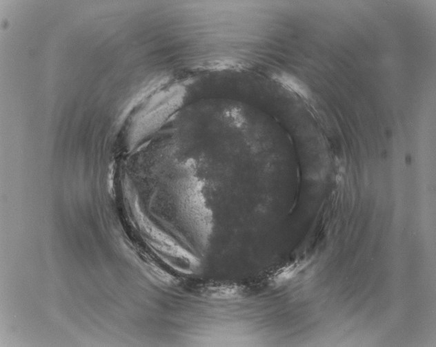 X0000060790735200511241844