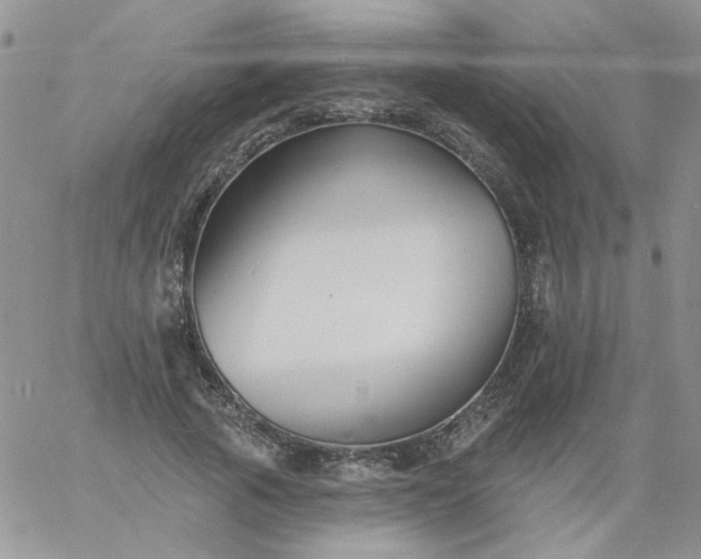 X0000060790737200511241844