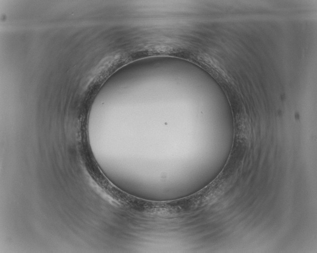 X0000060790738200511241844