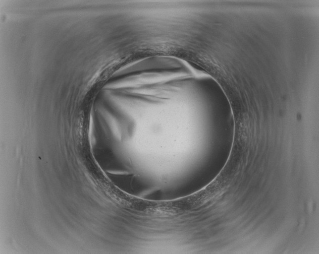 X0000060790739200511241844