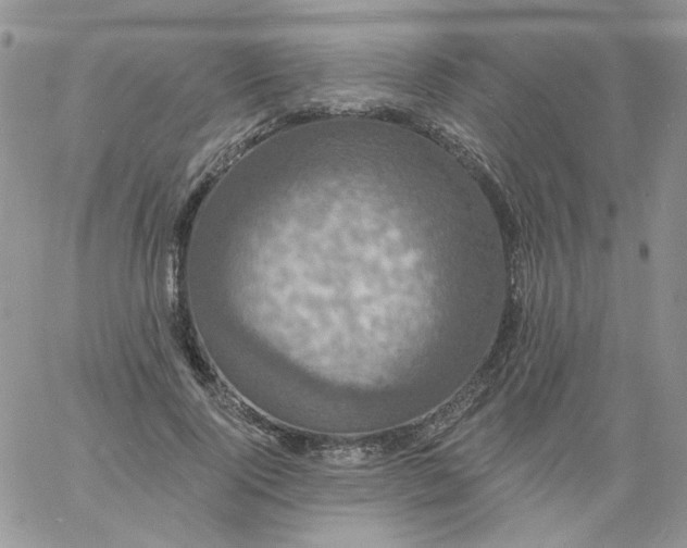 X0000060790740200511241844