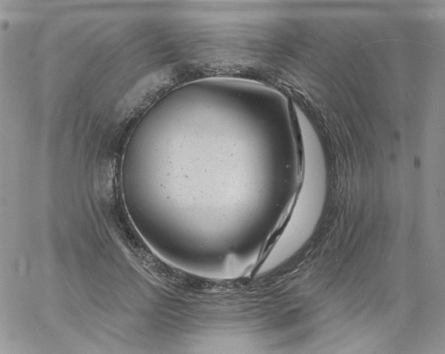 X0000060790742200511241844