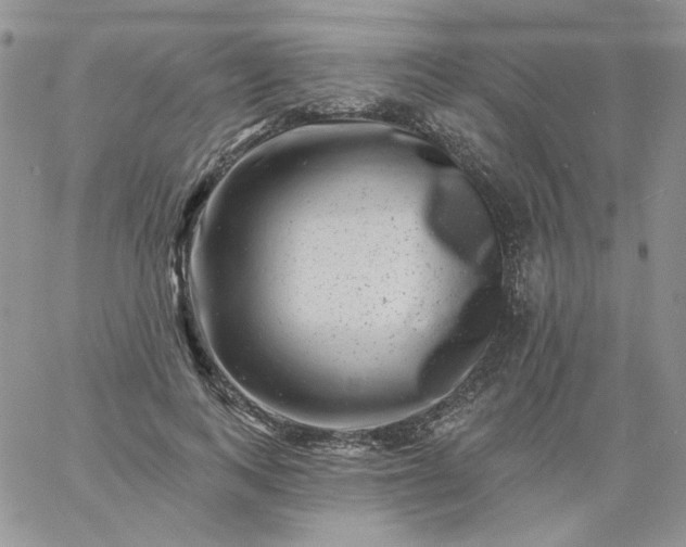 X0000060790743200511241844