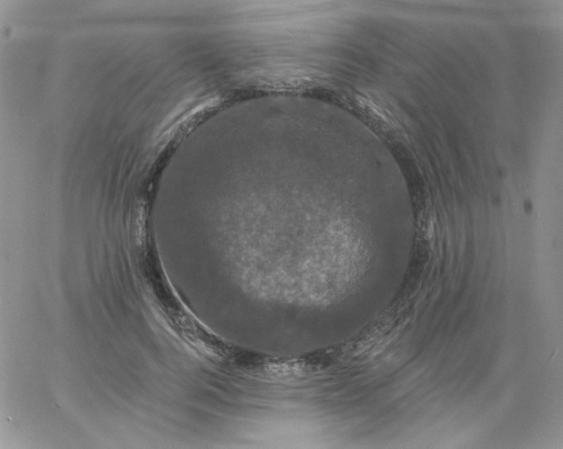 X0000060790744200511241844