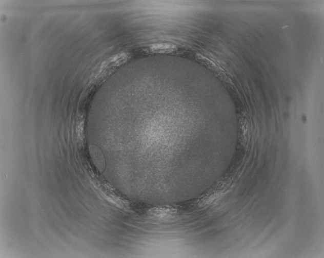 X0000060790745200511241844