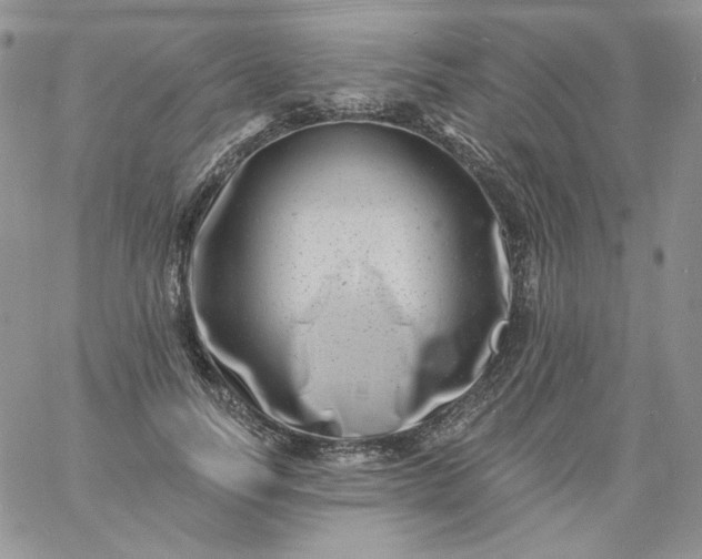 X0000060790746200511241844