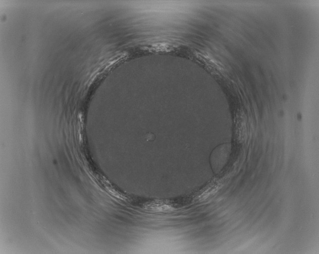 X0000060790747200511241844