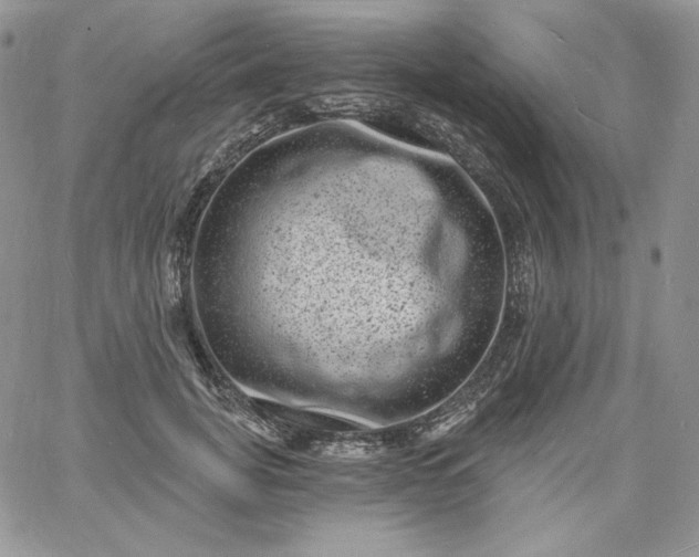 X0000060790751200511241844