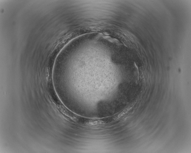 X0000060790752200511241844