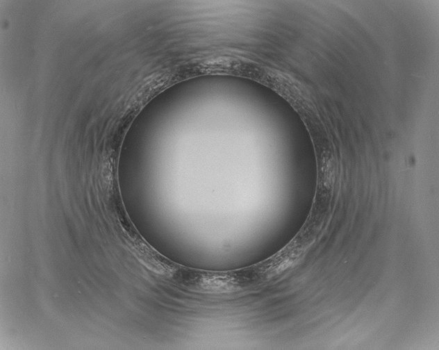 X0000060790753200511241844