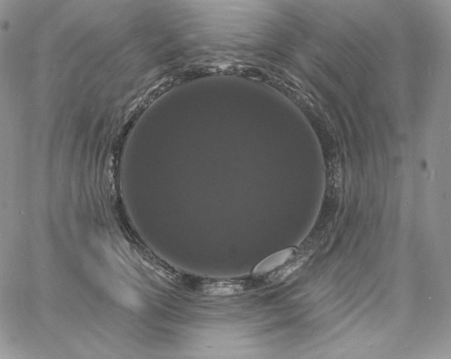 X0000060790754200511241845