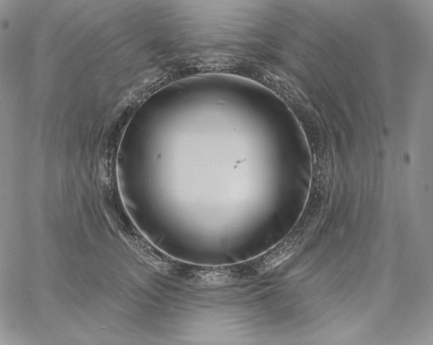 X0000060790755200511241845