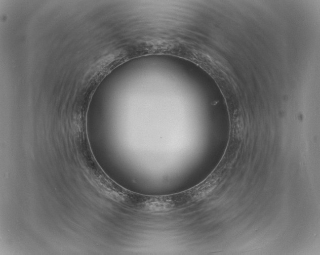 X0000060790756200511241845