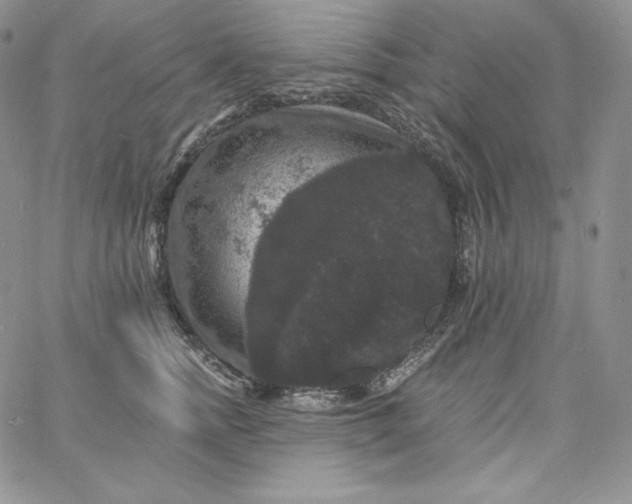 X0000060790758200511241845