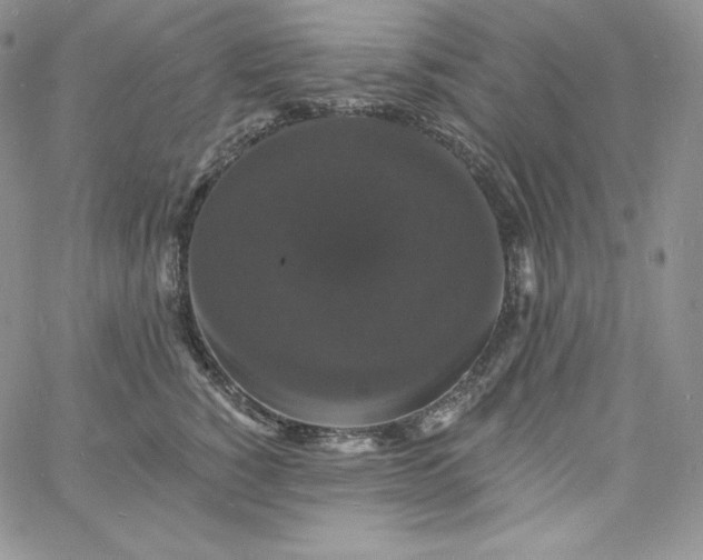 X0000060790760200511241845