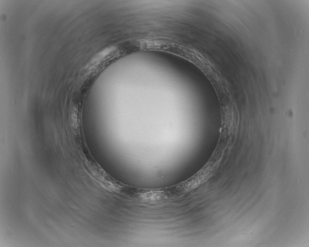 X0000060790761200511241845