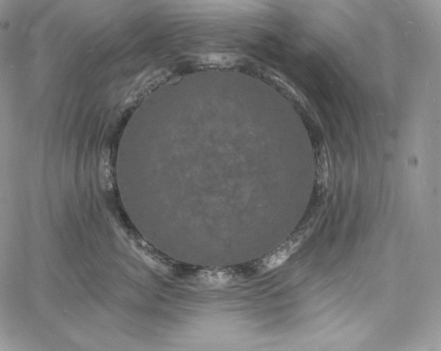 X0000060790764200511241845