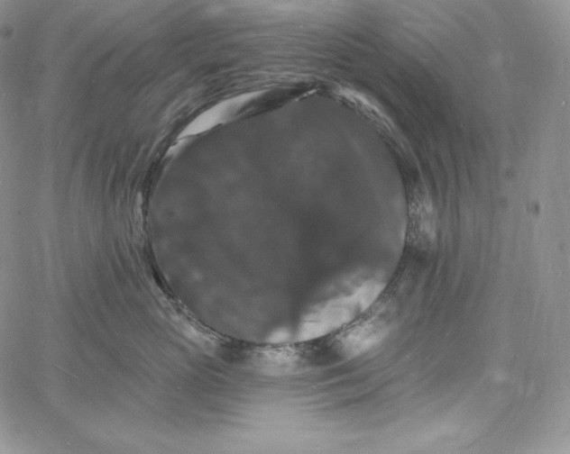 X0000060790765200511241845