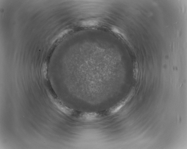 X0000060790767200511241845