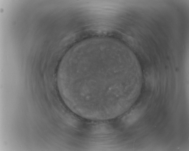 X0000060790769200511241844