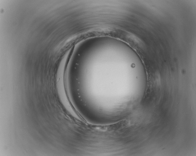 X0000060790773200511241844