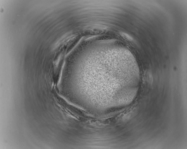 X0000060790774200511241844