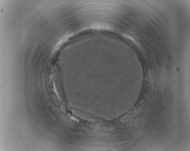 X0000060790776200511241844