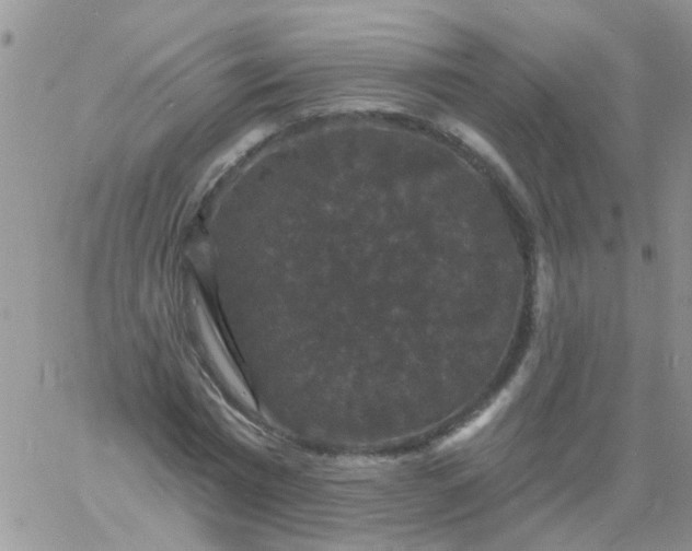 X0000060790777200511241844