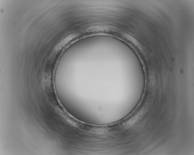 X0000060790778200511241844