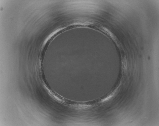 X0000060790779200511241844