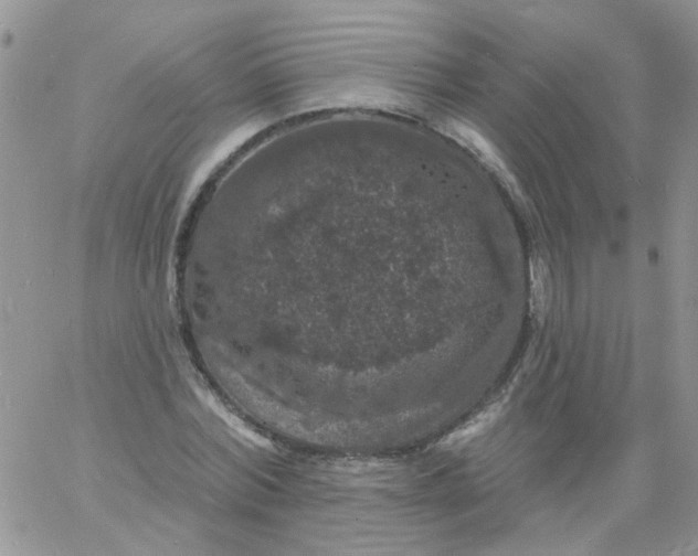 X0000060790780200511241844