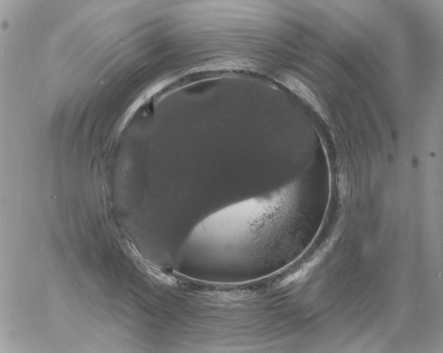 X0000060790781200511241844