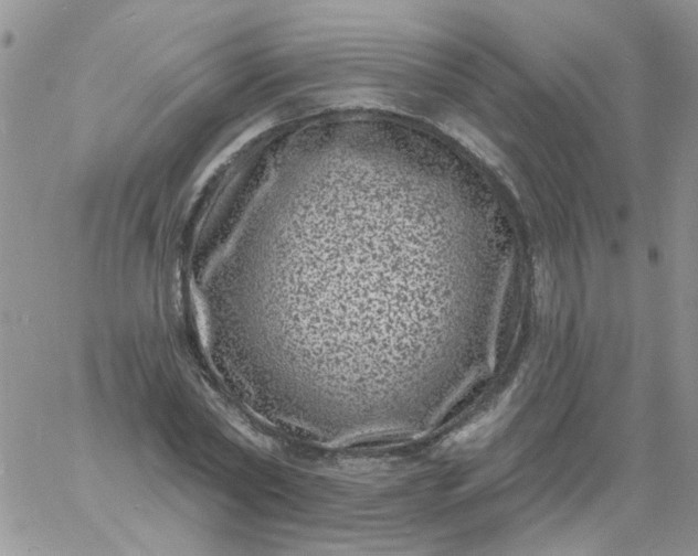 X0000060790782200511241844