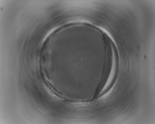 X0000060790783200511241844