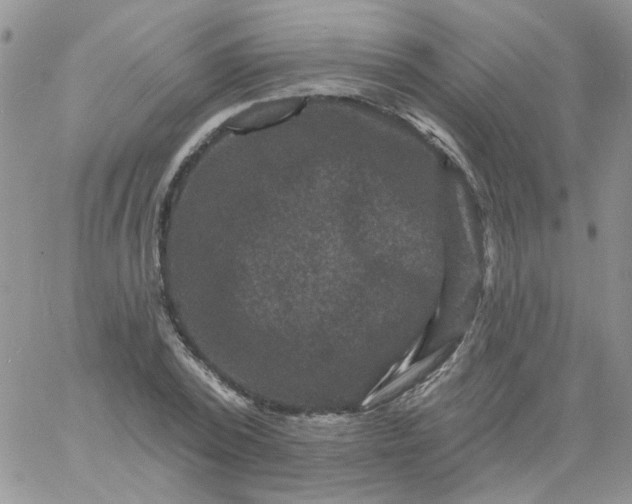 X0000060790784200511241844