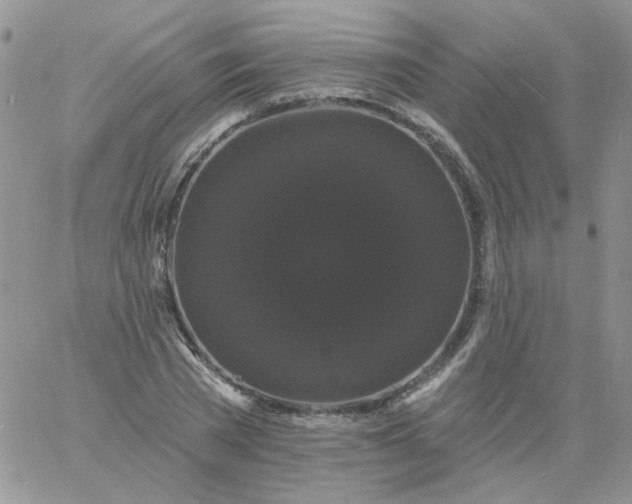 X0000060790785200511241844