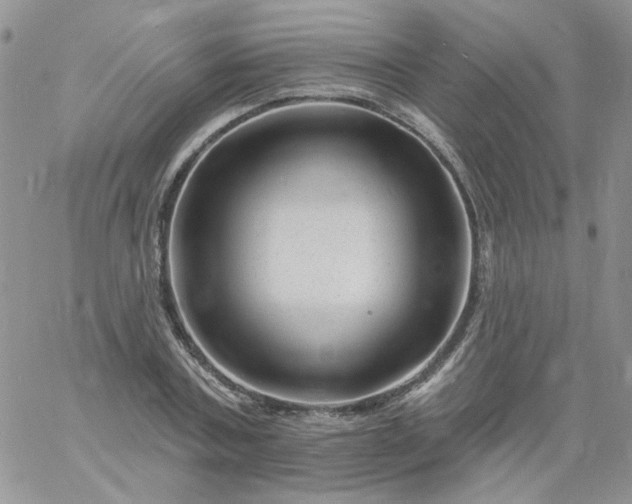 X0000060790787200511241844